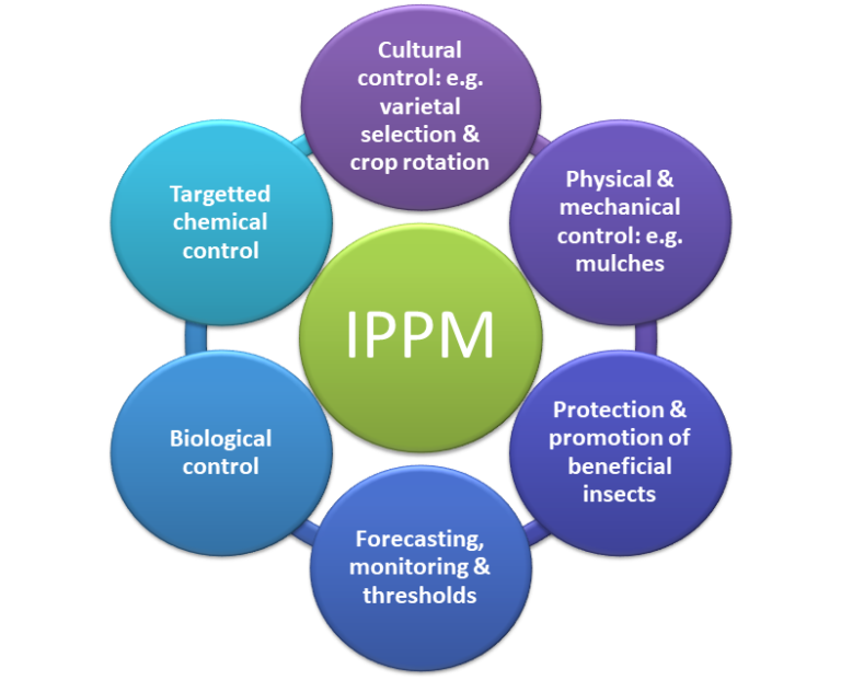 integrated-pest-management-helping-farmers-in-scotland-farm