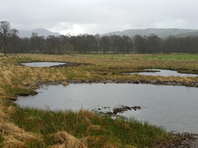 Biodiversity On Your Farm