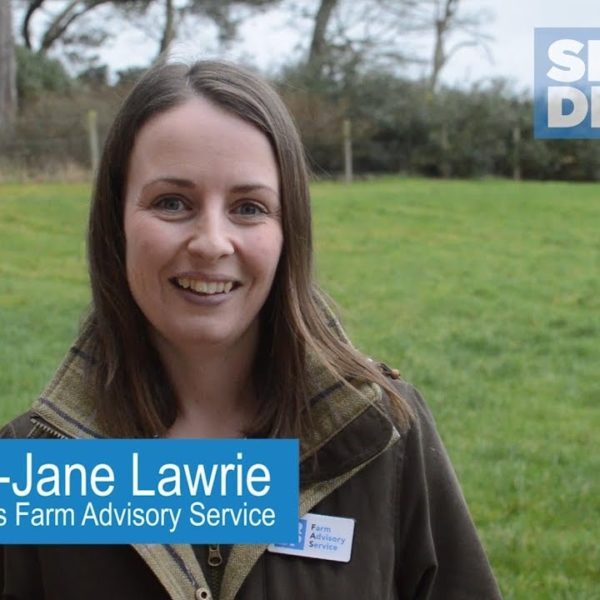 Mary-Jane Lawrie