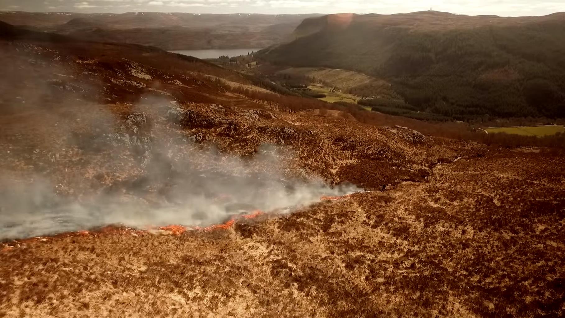 Muirburn