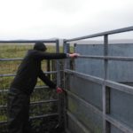 Low cost changes can improve most handling systems. In Hosta Dr Turner suggested sheeting a forcing gate to encourage animal flow 