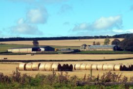 Farm-scene-1