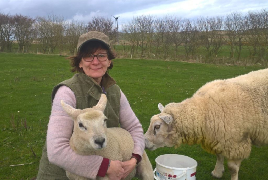 Woman in Agriculture crouches on grassy field with two sheep