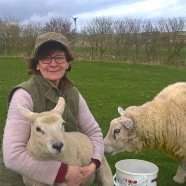 Woman in Agriculture crouches on grassy field with two sheep
