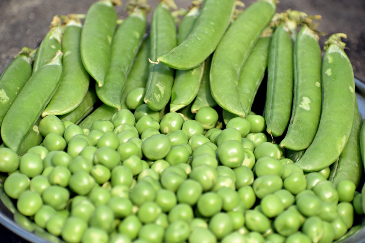bowl of peas Bowl of peas