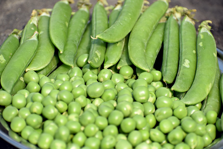 Bowl of peas