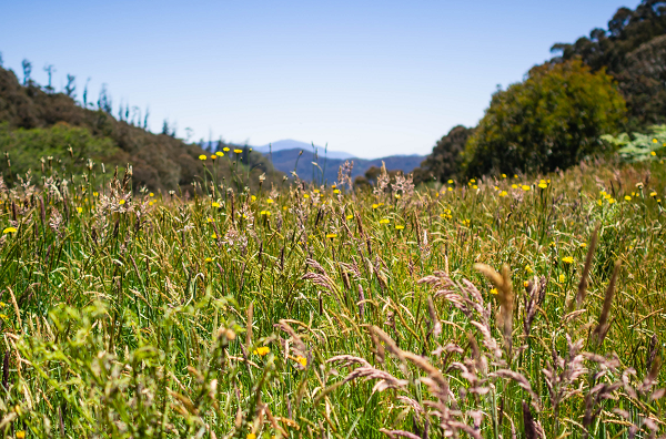 Habitat And Landscape Management