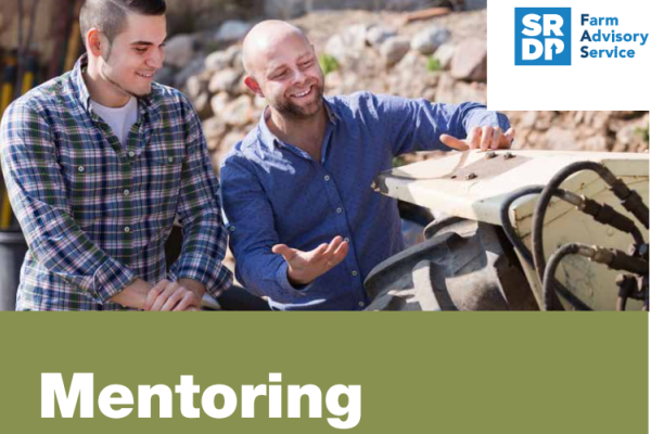 Mentoring