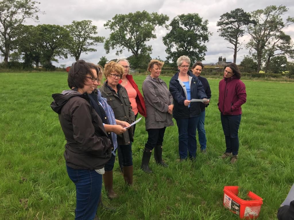 Group of women assess grass