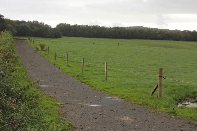 A whin stone topped cow track with a hedge on the left hand side and single strand fence to the right hand side on the edge of a grass field.  There are trees in the background of the photo.