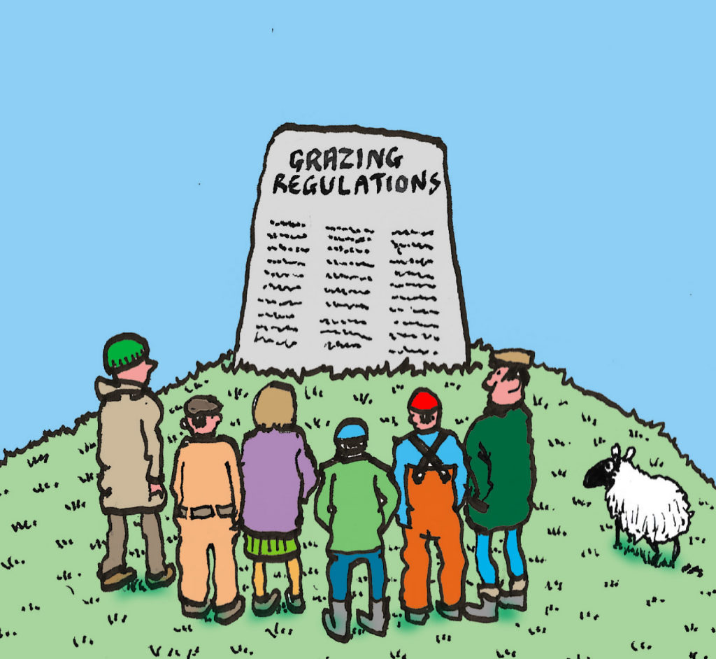 Cartoon of common grazing shreholders looking at a large stone tablet with 'Grazing Regulations' written on it.