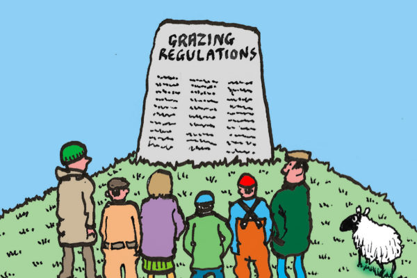 Cartoon of common grazing shreholders looking at a large stone tablet with 'Grazing Regulations' written on it.