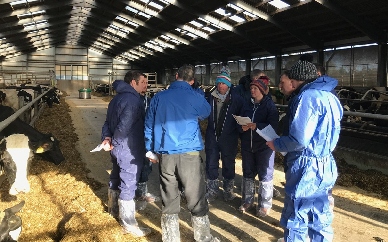 South West Dairy Focus Group