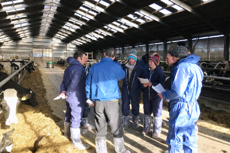 CAFRE Cattle shed CAFRE Cattle shed