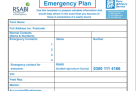 Emergency plan cropped