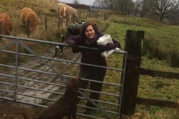 Woman holding a bag of feed, leaning over a gate with dogs at her feet and cattle in the background