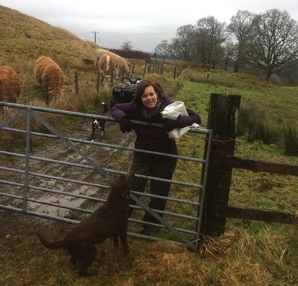 Woman holding a bag of feed, leaning over a gate with dogs at her feet and cattle in the background