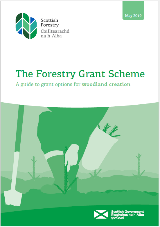 SF FGS Woodland creation thumbnail