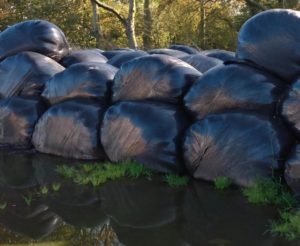 wet silage