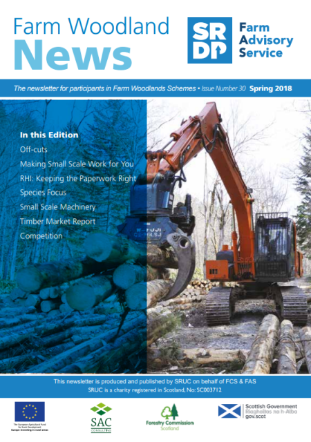 FWN 30 cover photo 450x640