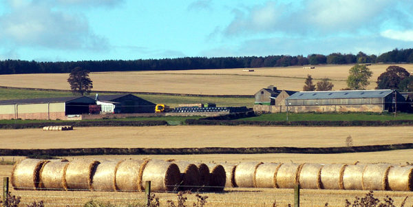 Multiple fields, with hay bales in the foreground and a farmhouse in the background.
