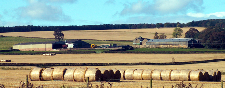 Multiple fields, with hay bales in the foreground and a farmhouse in the background.