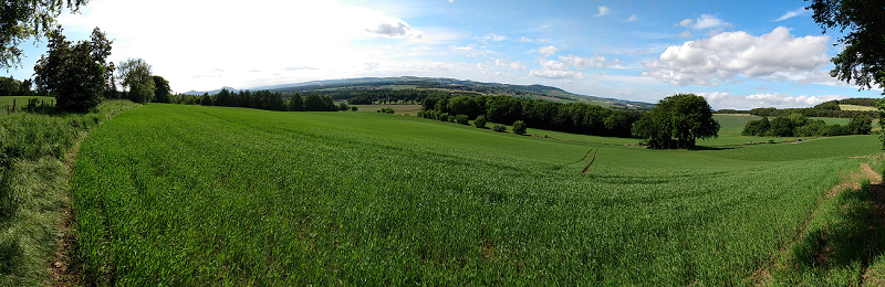 Edenwood Panorama 800x260 Edenwood Panorama 800x260