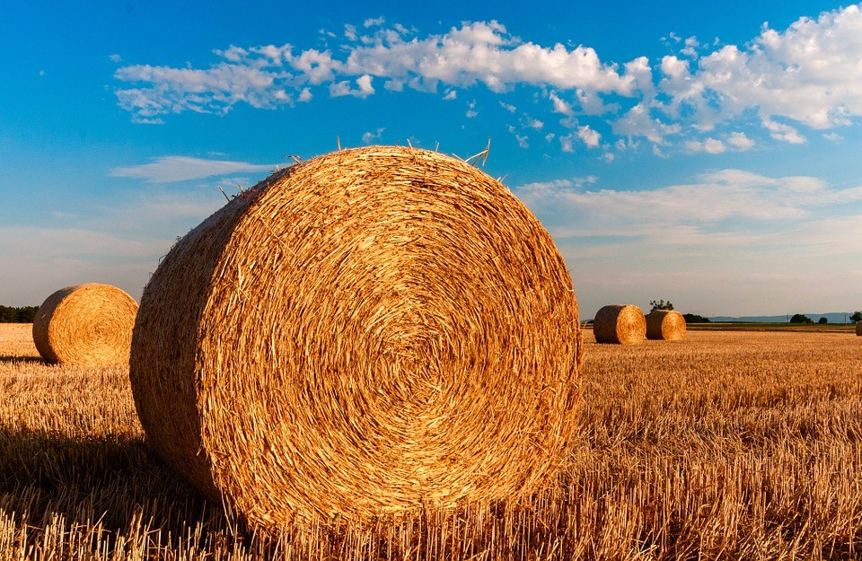 Straw Bales