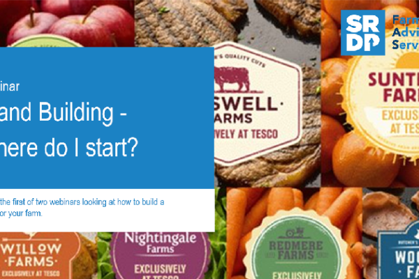 In the background is a section of Tesco 'farm brand' logos e.g. Suntrail Farms, Woodside Farms, Willow Farms etc. In the foreground is the blue title box for the 'Webinar - Brand building - where do I start?'
