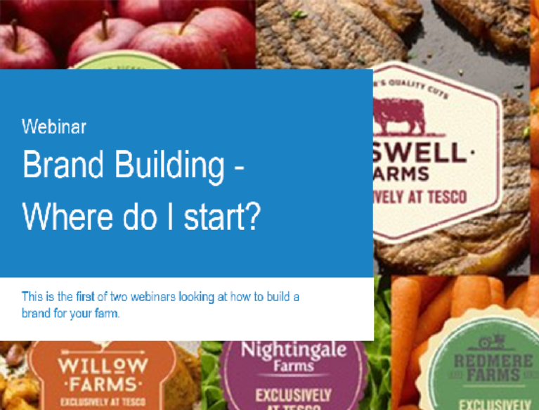 In the background is a section of Tesco 'farm brand' logos e.g. Suntrail Farms, Woodside Farms, Willow Farms etc. In the foreground is the blue title box for the 'Webinar - Brand building - where do I start?'