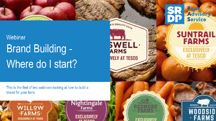 In the background is a section of Tesco 'farm brand' logos e.g. Suntrail Farms, Woodside Farms, Willow Farms etc. In the foreground is the blue title box for the 'Webinar - Brand building - where do I start?'