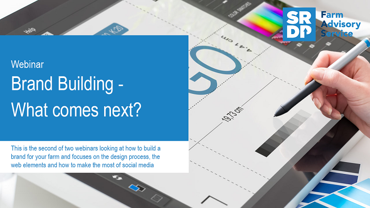 In the background there is a person working with a stylus on a tablet on some designing work. In the foreground is a blue title box for the 'Webinar - Brand Building - What comes next'.