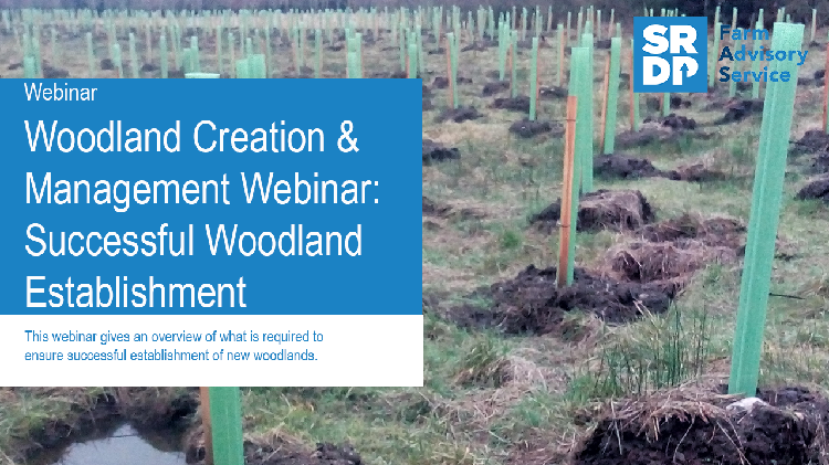Woodland Creation Management webinar 2 750x421