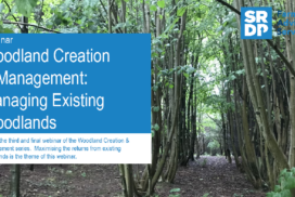 A photo of the title slide from the 'Woodland Creation & Management - Managing existing woodlands' webinar. The background behind the title box shows a young deciduous trees that are planted in a linear formation.