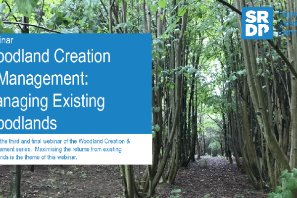 A photo of the title slide from the 'Woodland Creation & Management - Managing existing woodlands' webinar. The background behind the title box shows a young deciduous trees that are planted in a linear formation.