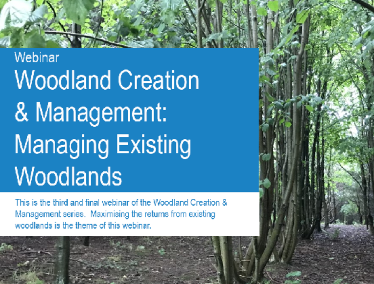 A photo of the title slide from the 'Woodland Creation & Management - Managing existing woodlands' webinar. The background behind the title box shows a young deciduous trees that are planted in a linear formation.