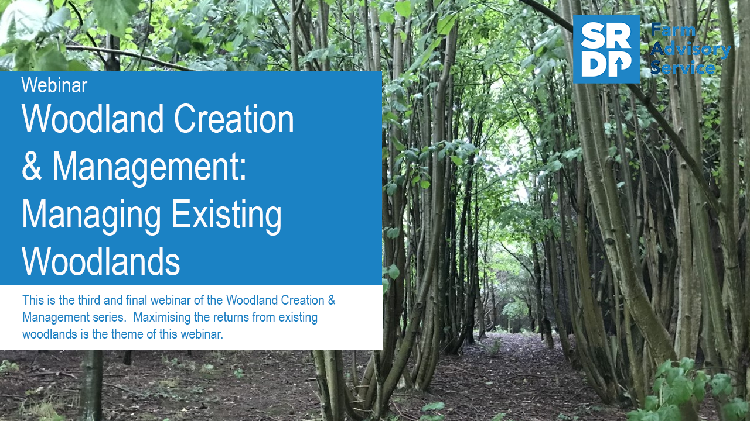 A photo of the title slide from the 'Woodland Creation & Management - Managing existing woodlands' webinar. The background behind the title box shows a young deciduous trees that are planted in a linear formation.