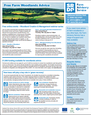 a photo of a pdf copy of the Free Woodlands advice page that was printed within the Scottish Farmer during August.
