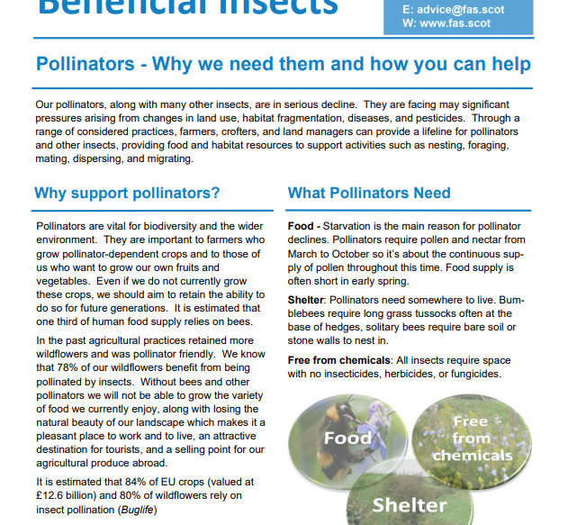 A photo of a pdf document titled Information Note: Beneficial Insects