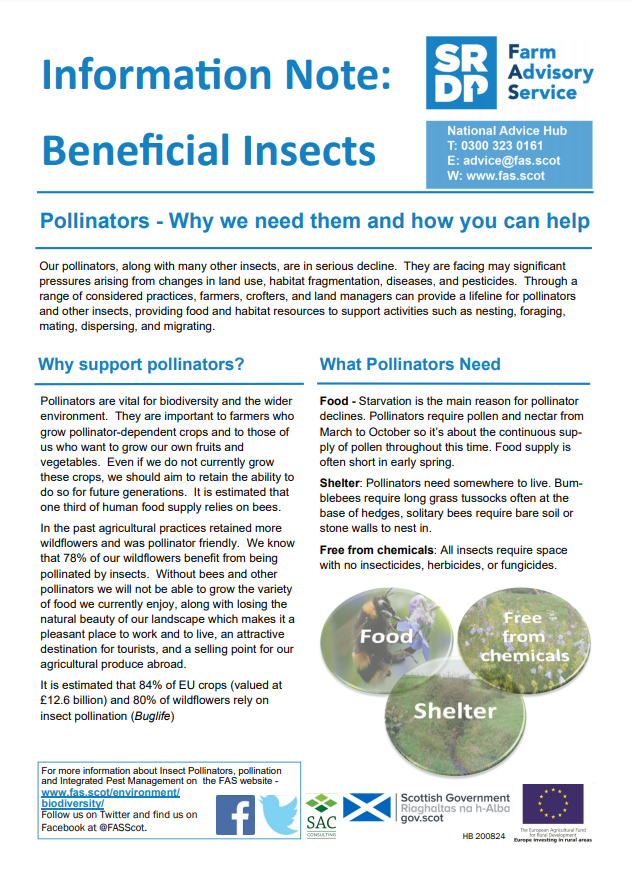 A photo of a pdf document titled Information Note: Beneficial Insects