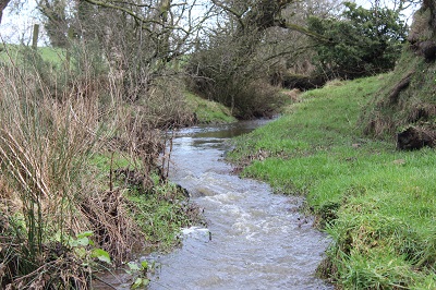 small water course running through grassland field with sloping banks and green vegetation either side.