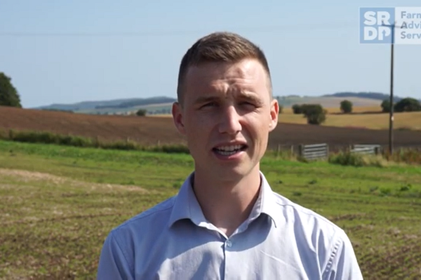Consultant stood in a field, looking at the camera.