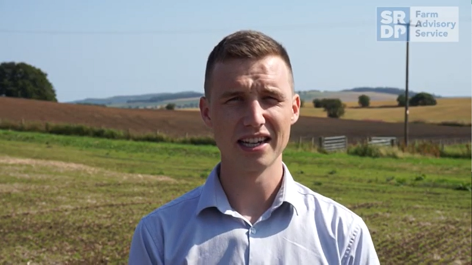 Consultant stood in a field, looking at the camera.