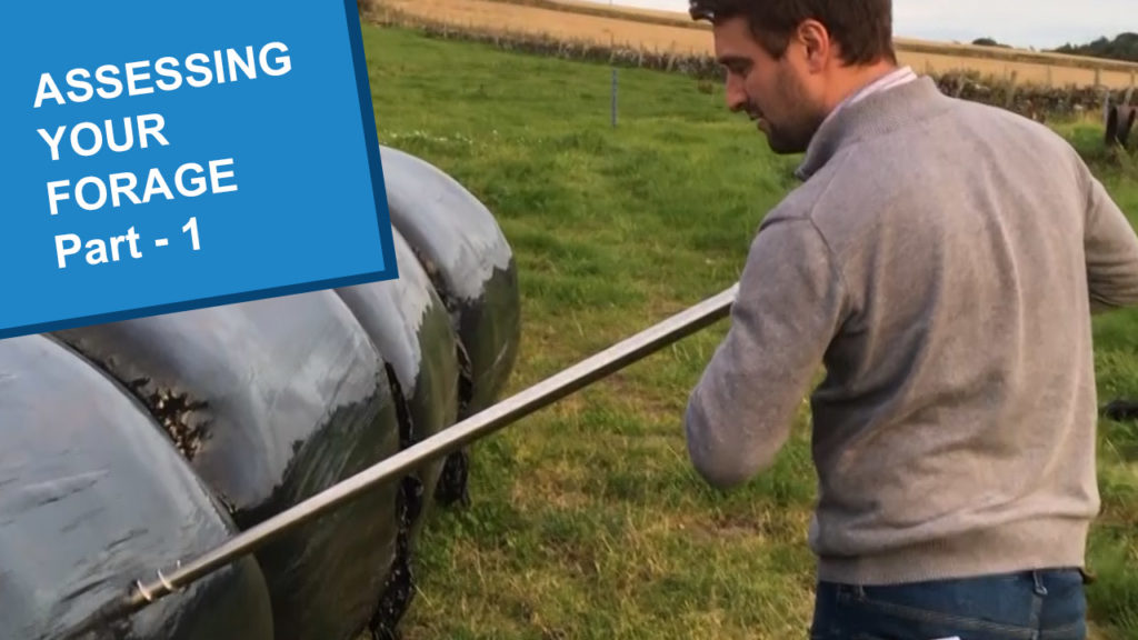 A farmer drilling into a hay bale to check it