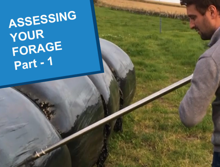 A farmer drilling into a hay bale to check it