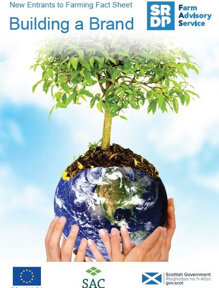 Front page of factsheet, tree growing out of the world, supported by multiple hands.