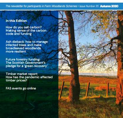 The cover page from the Farm Woodland News, Autumn 2020 edition. There is an autumnal photo as a background with a field in the background, with two deciduous trees in the foreground; there is a low autumnal sun and a red glow to the photo. On the left hand side of the photo there is a list of the featured articles within the newsletter.