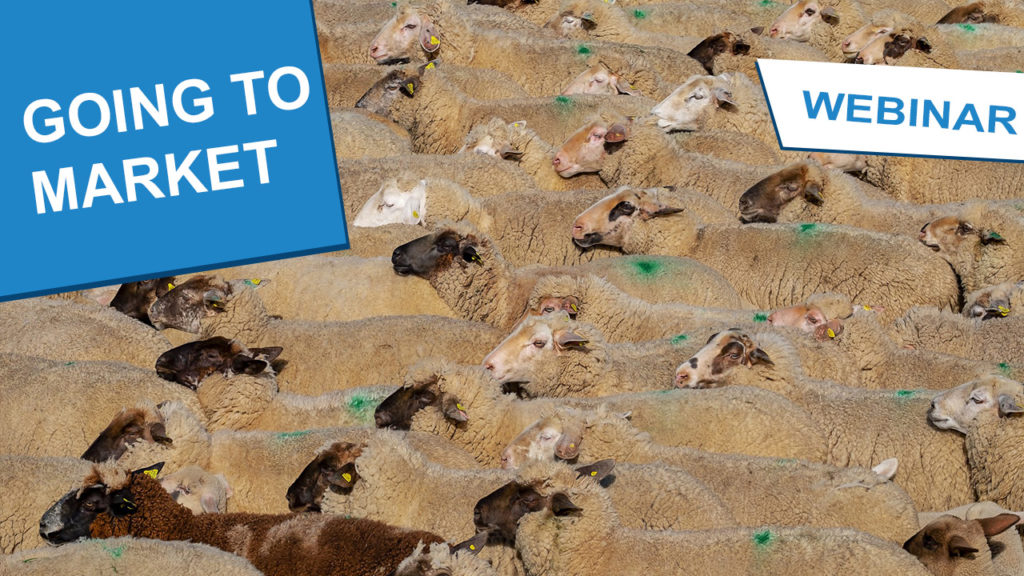 Sheep gathered closely together for market