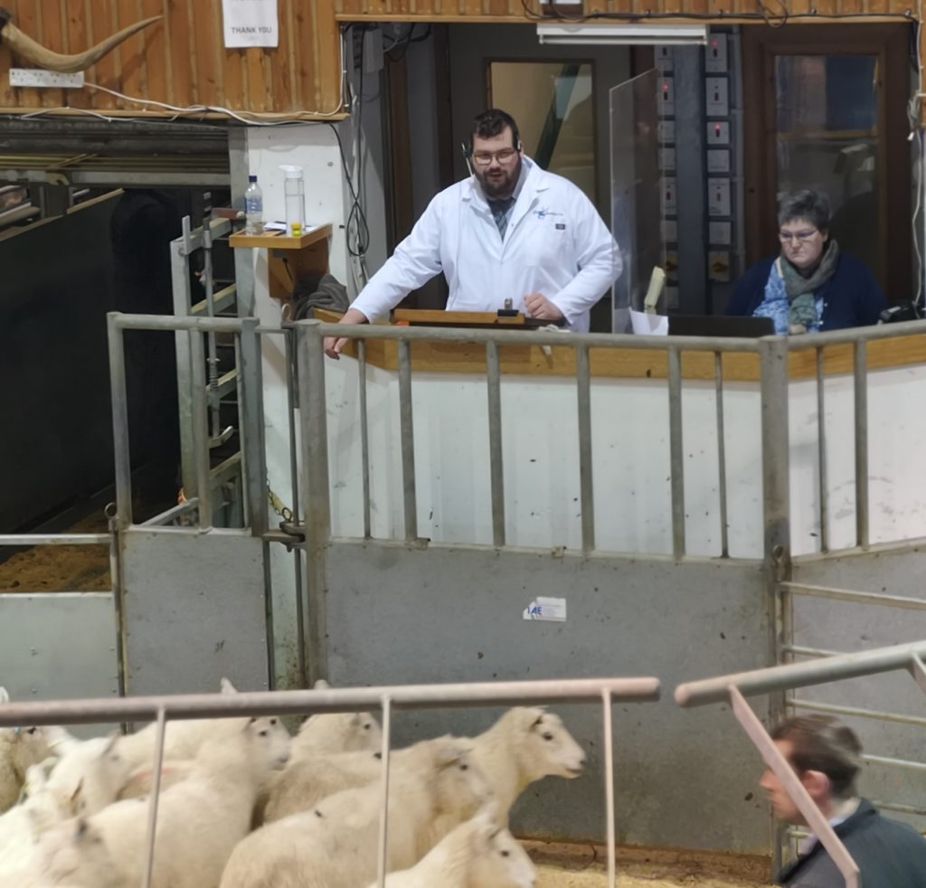 Graham Low at a livestock market