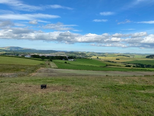 View of farmland